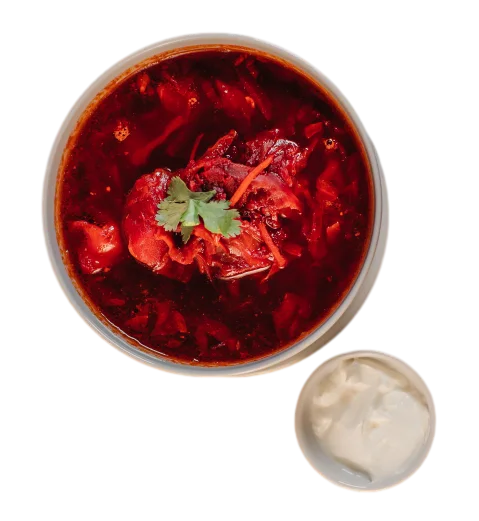 Nursel Central Asian & Russian Cuisine